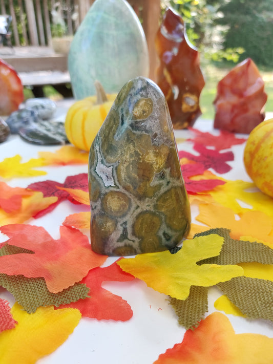 Ocean Jasper Free Form (#A2)