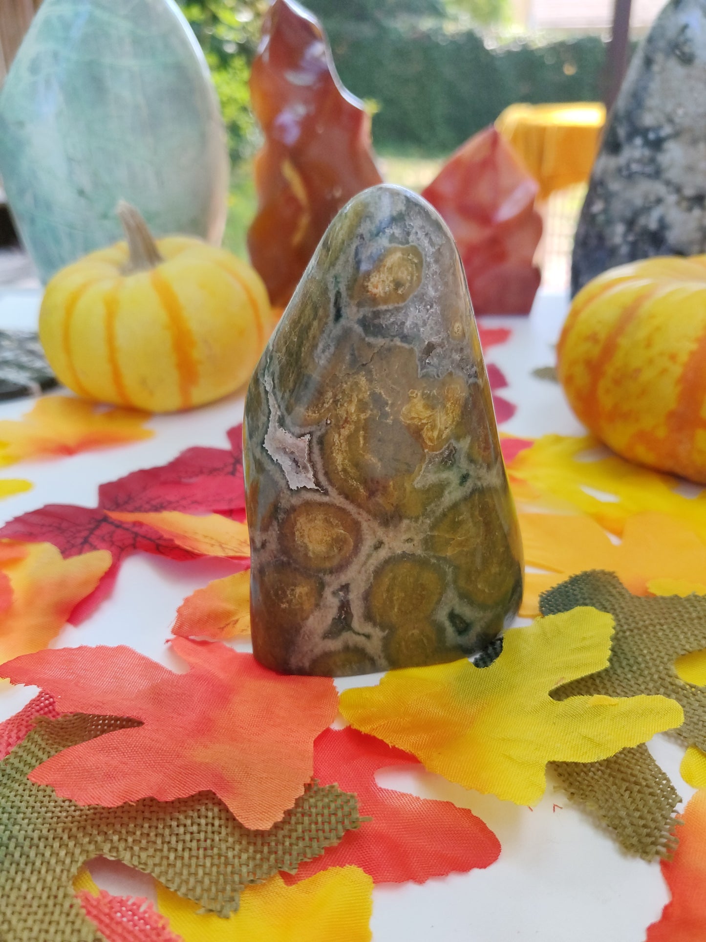 Ocean Jasper Free Form (#A2)