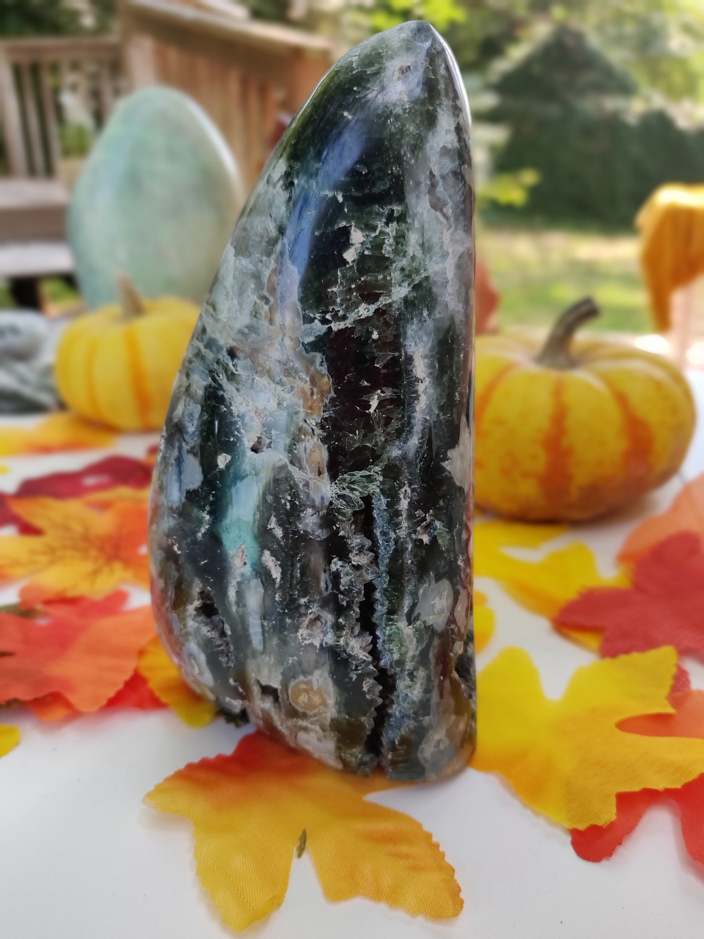 Ocean Jasper Free Form (#A1)