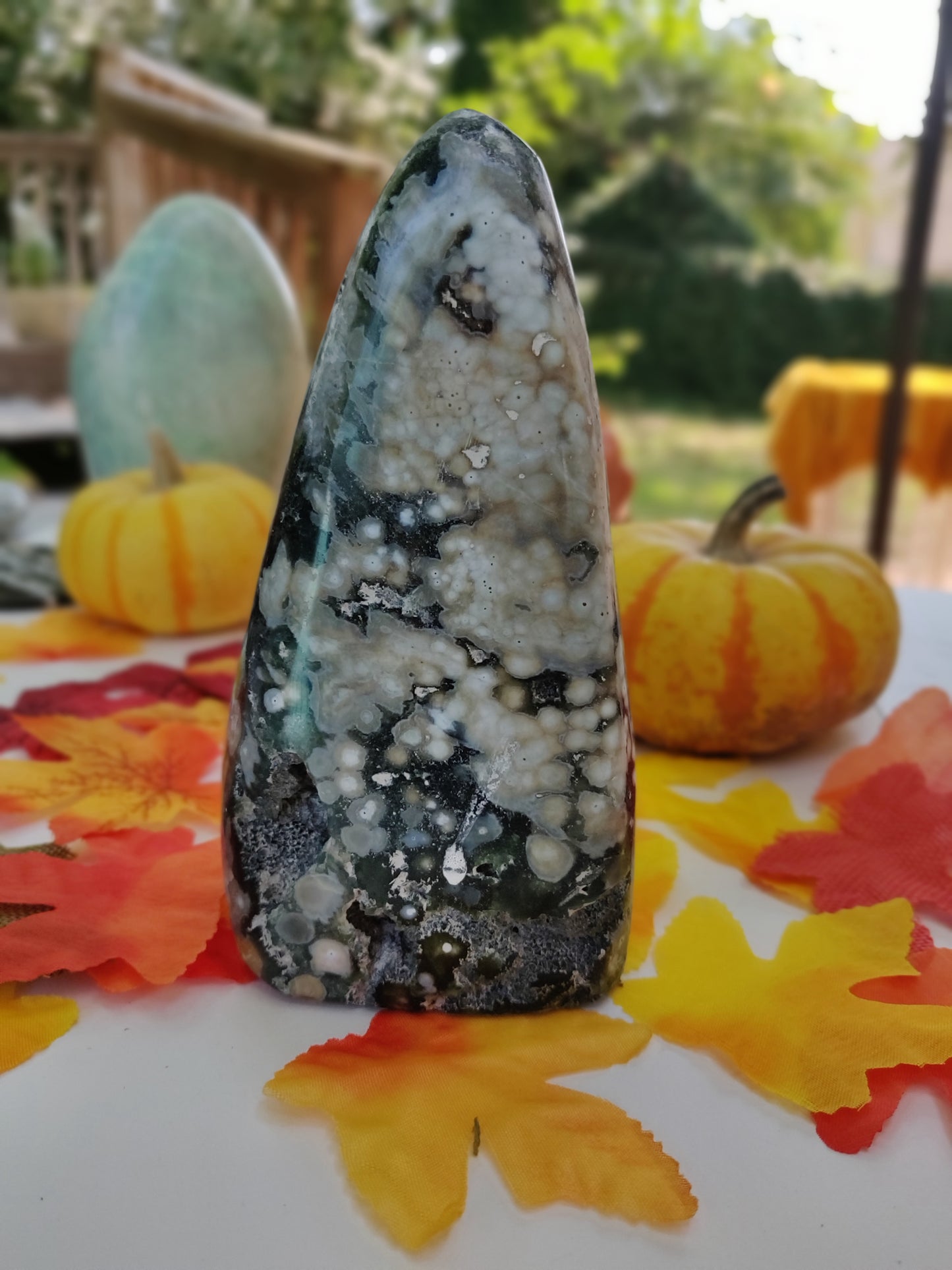 Ocean Jasper Free Form (#A1)