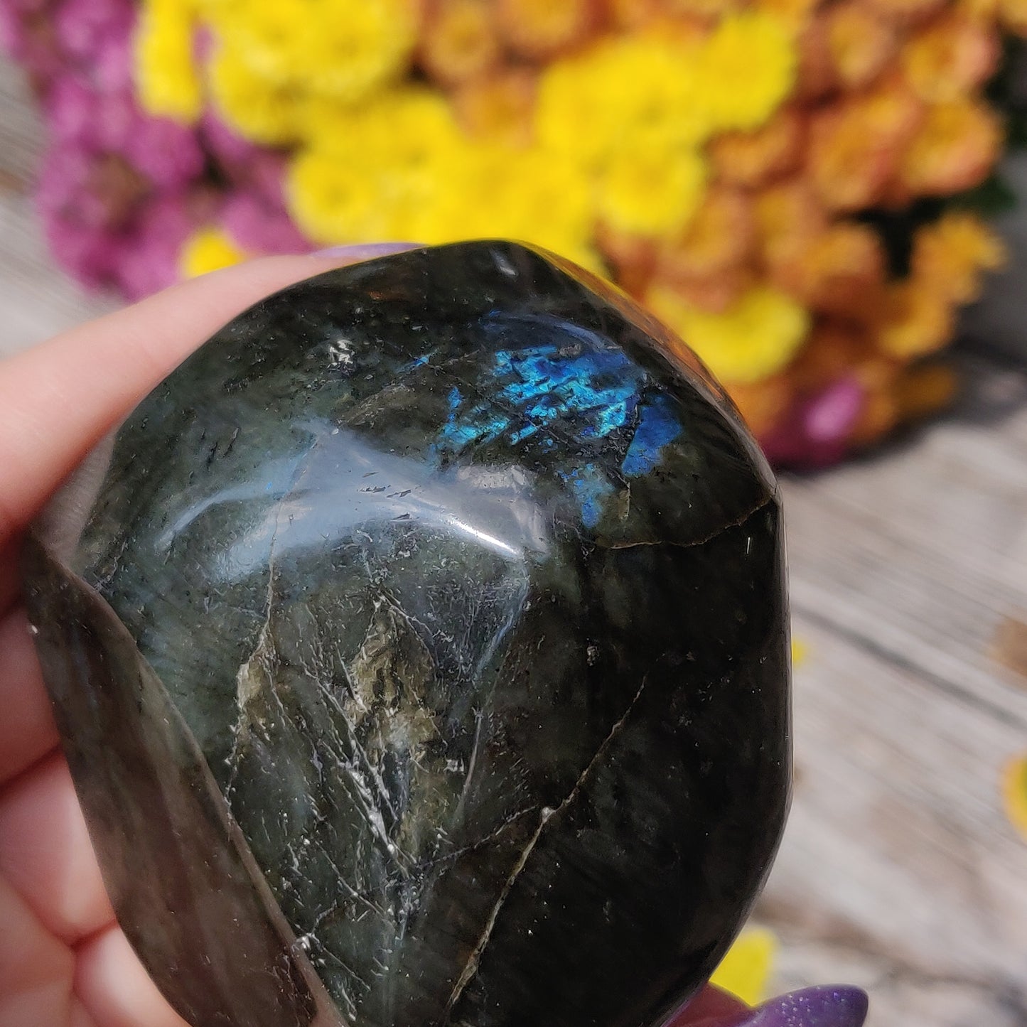 Labradorite Free Form (#A1)