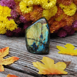 Labradorite Free Form (#A10)