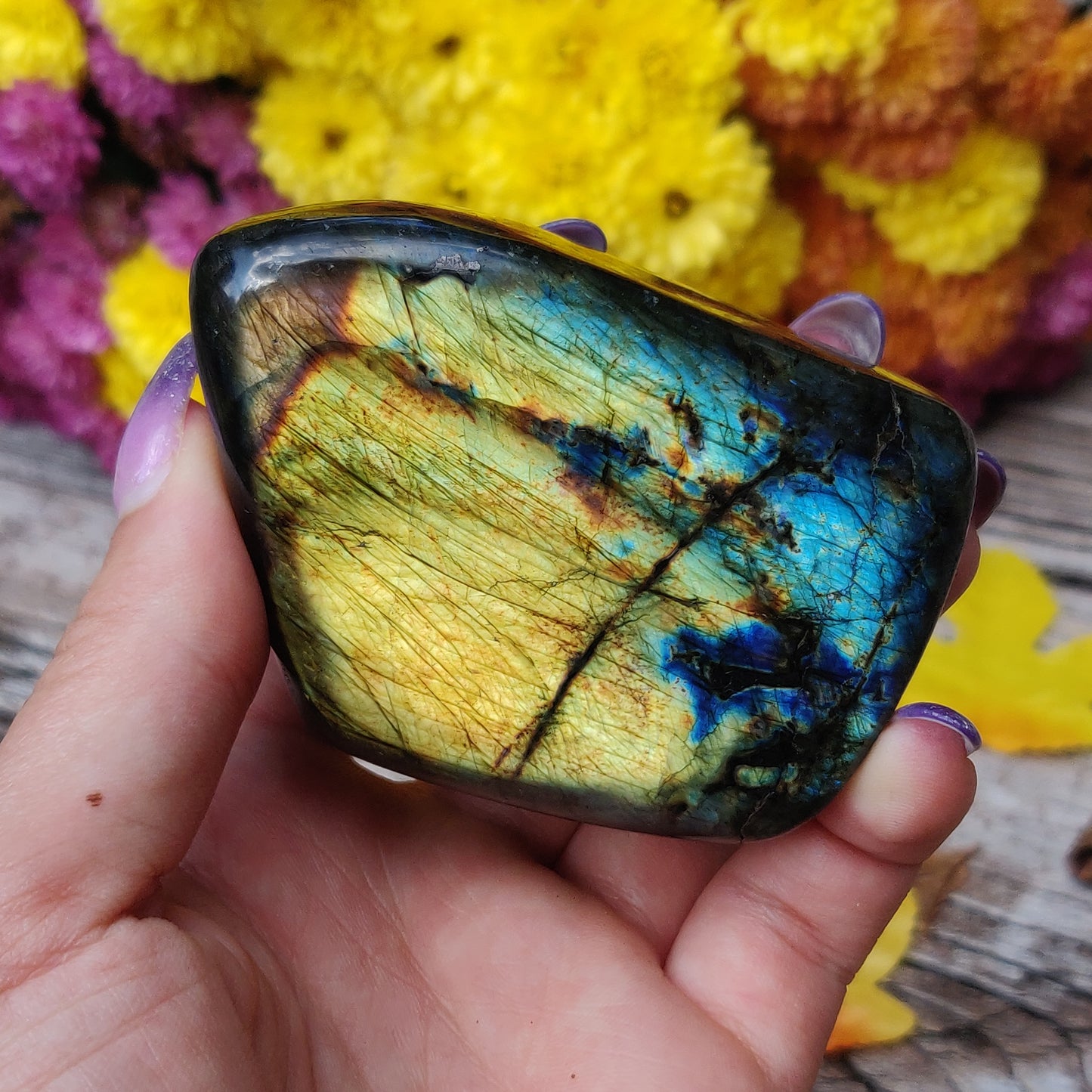 Labradorite Free Form (#A10)