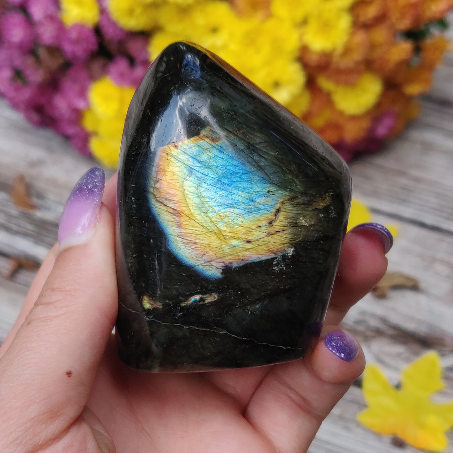 Labradorite Free Form (#A10)