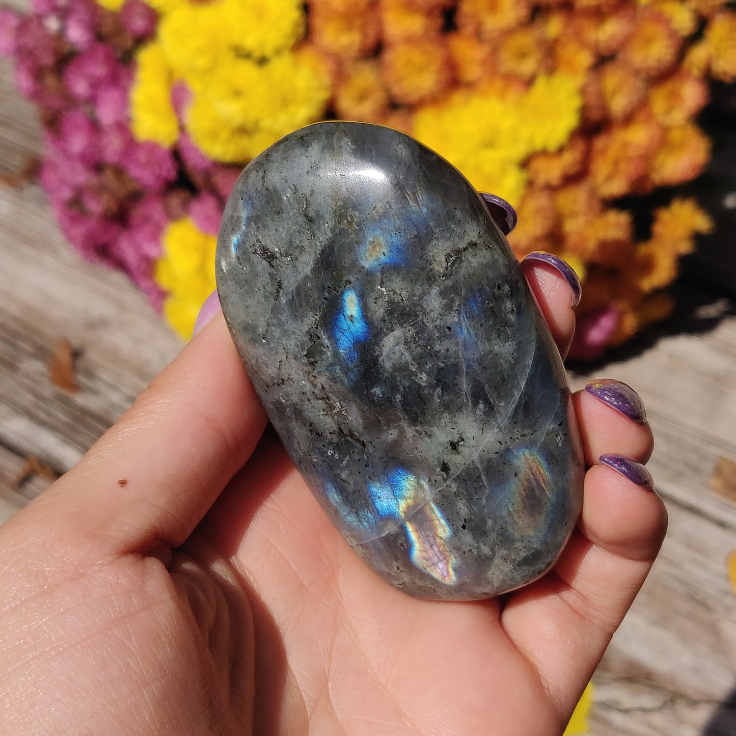 Labradorite Palm Stone (#A12)