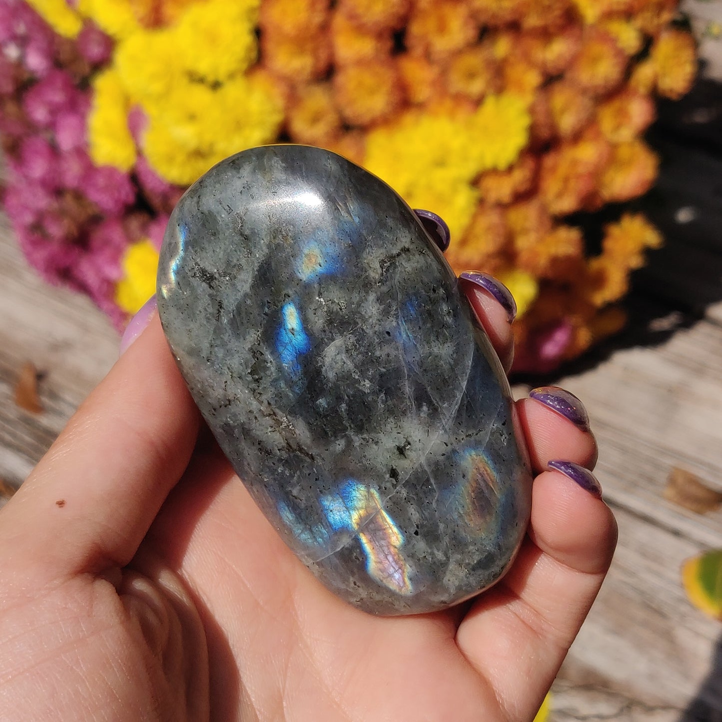 Labradorite Palm Stone (#A12)
