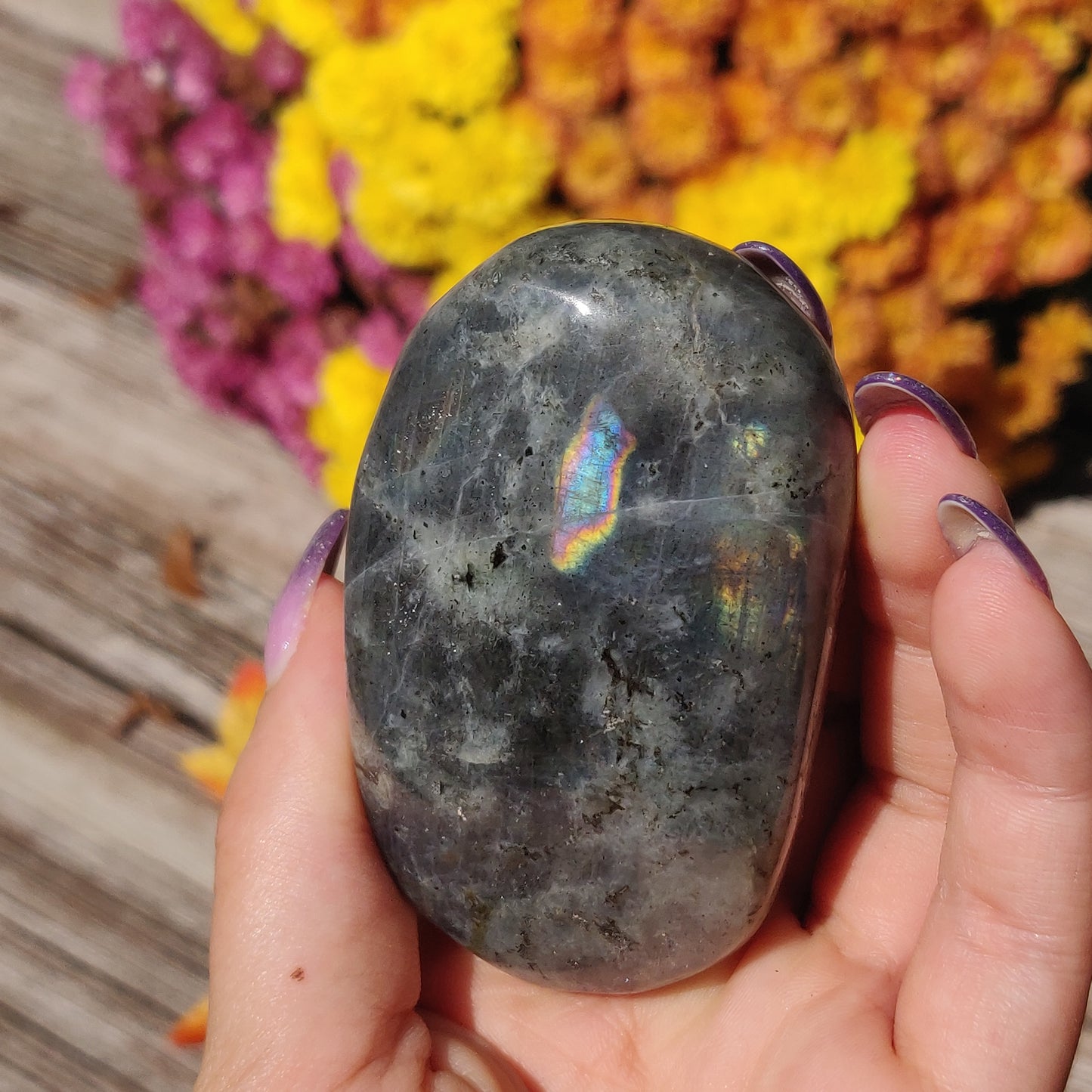 Labradorite Palm Stone (#A12)
