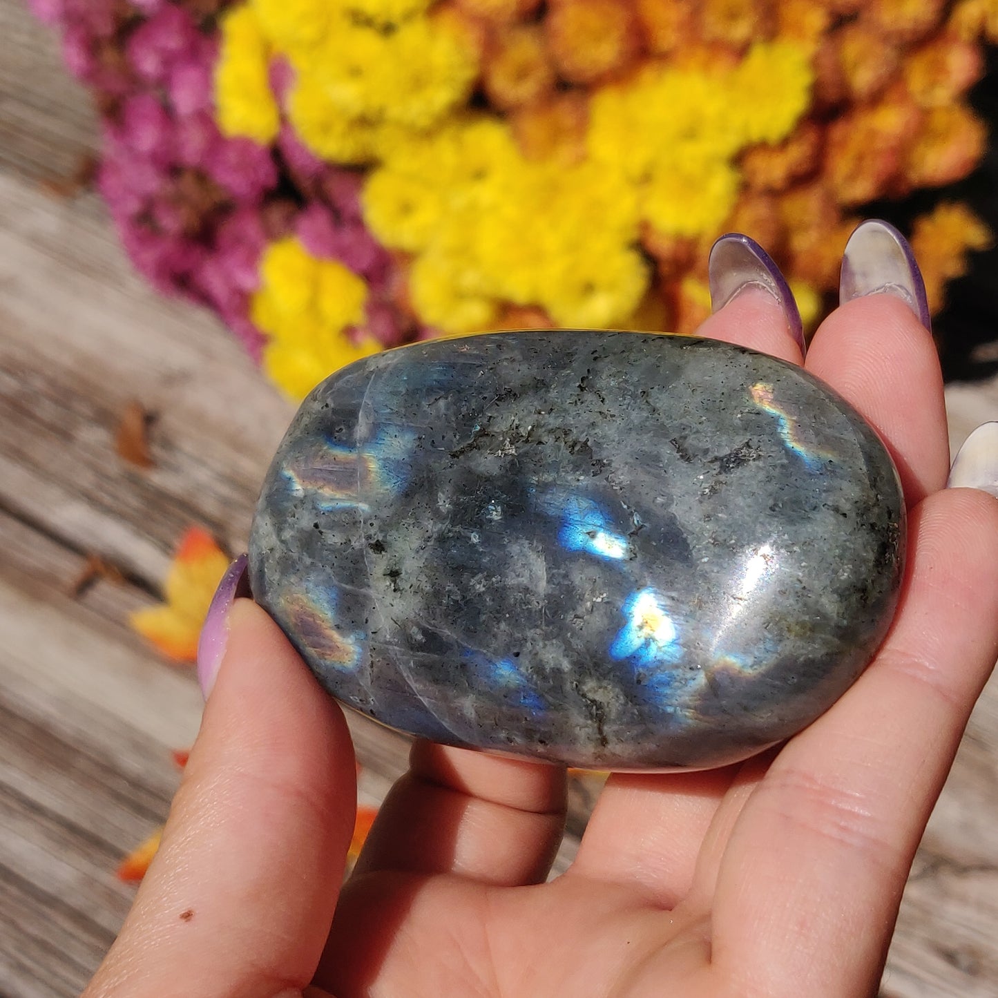 Labradorite Palm Stone (#A12)