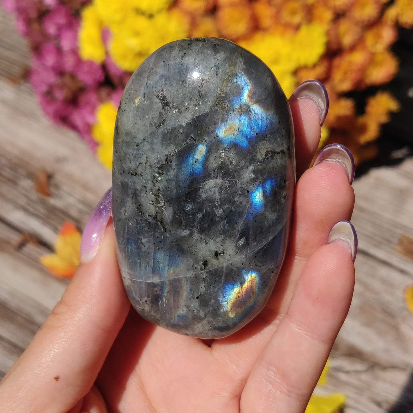 Labradorite Palm Stone (#A12)