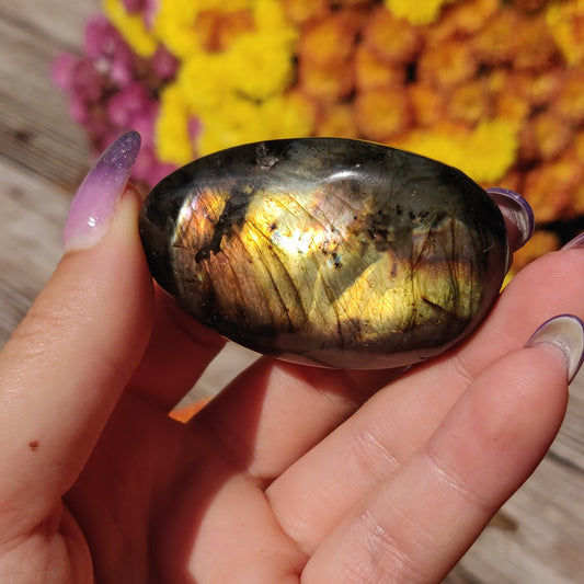 Labradorite Palm Stone (#A1)
