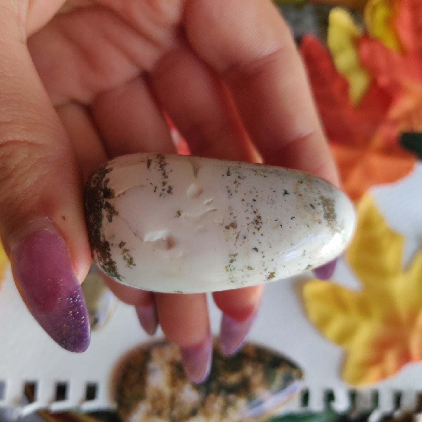 Ocean Jasper Palm Stone (#28)