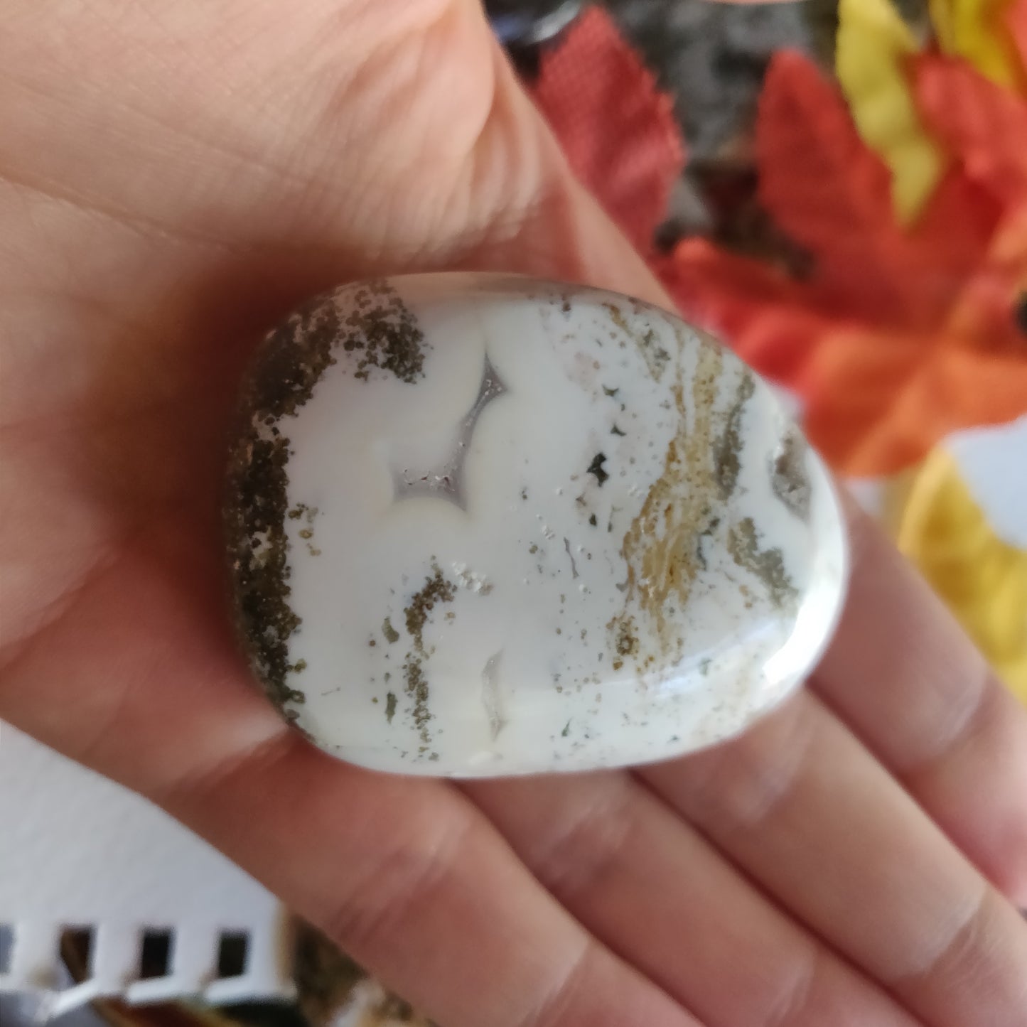 Ocean Jasper Palm Stone (#28)