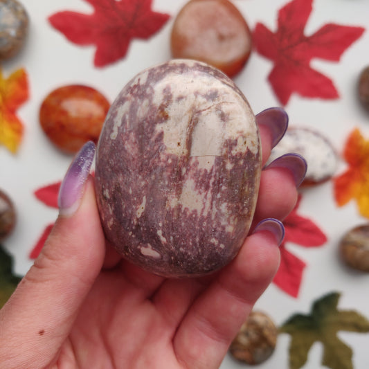 Petrified Wood Palm Stone (#2)