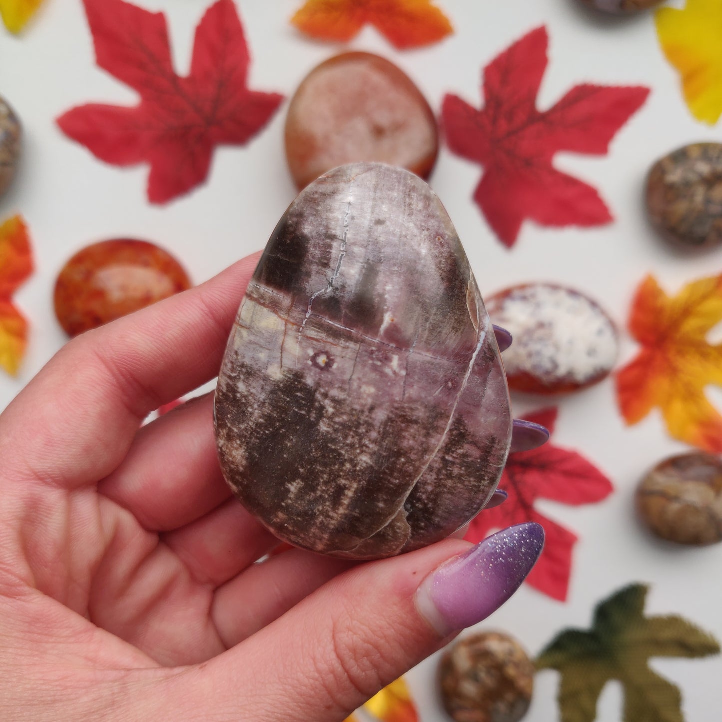 Petrified Wood Palm Stone (#9)