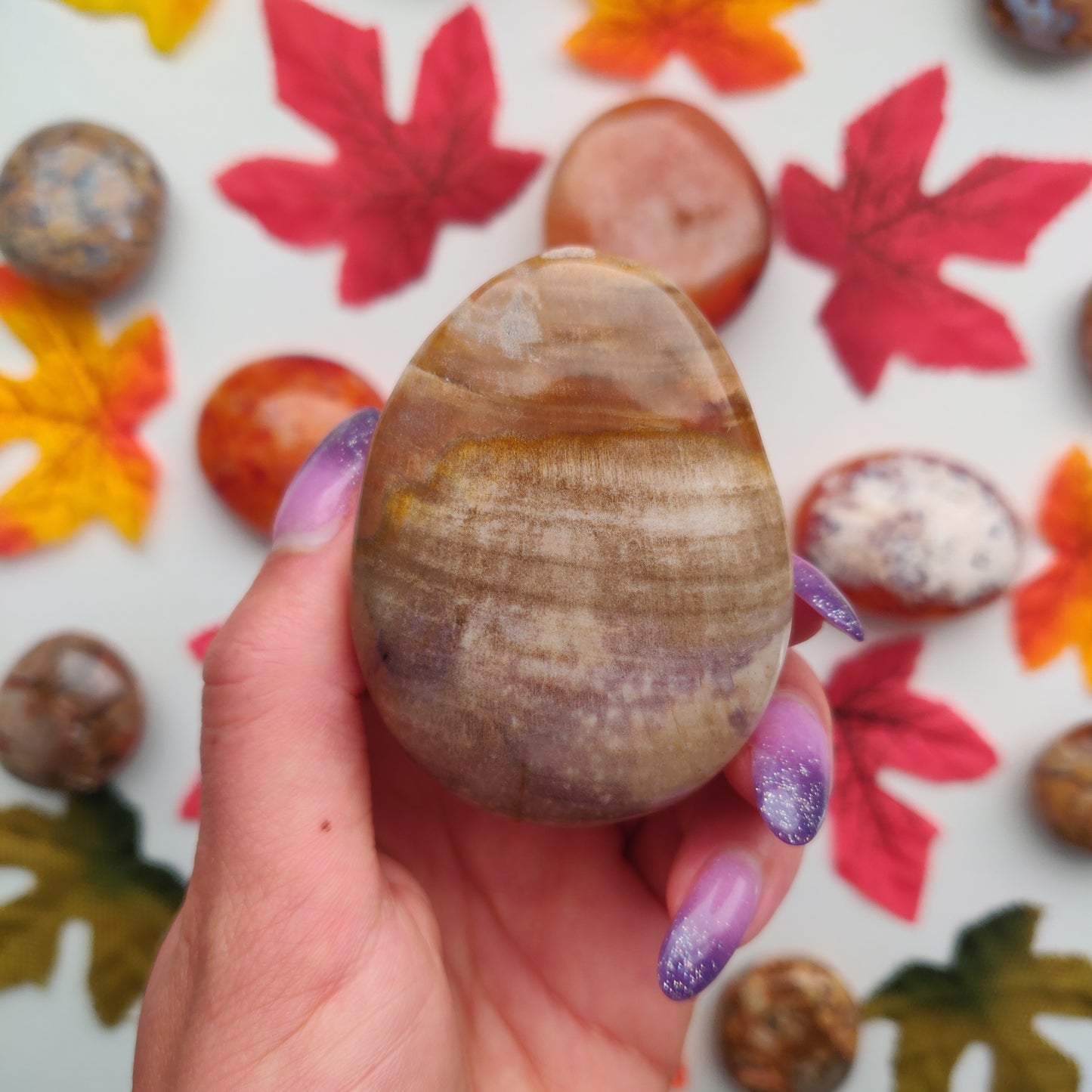 Petrified Wood Palm Stone (#7)