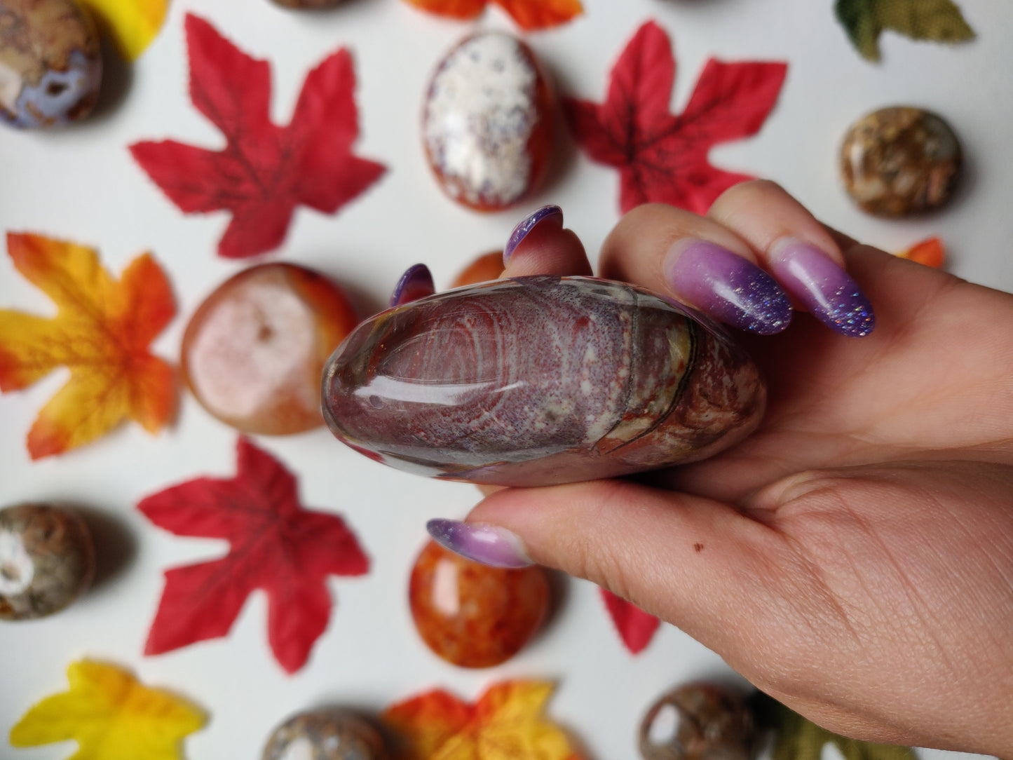 Petrified Wood Palm Stone (#A5)