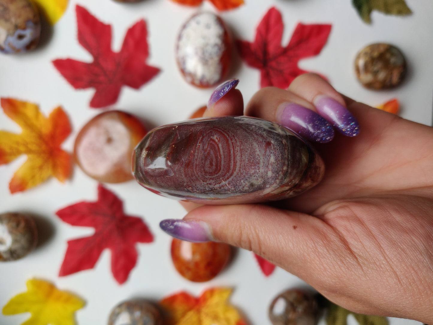 Petrified Wood Palm Stone (#A5)