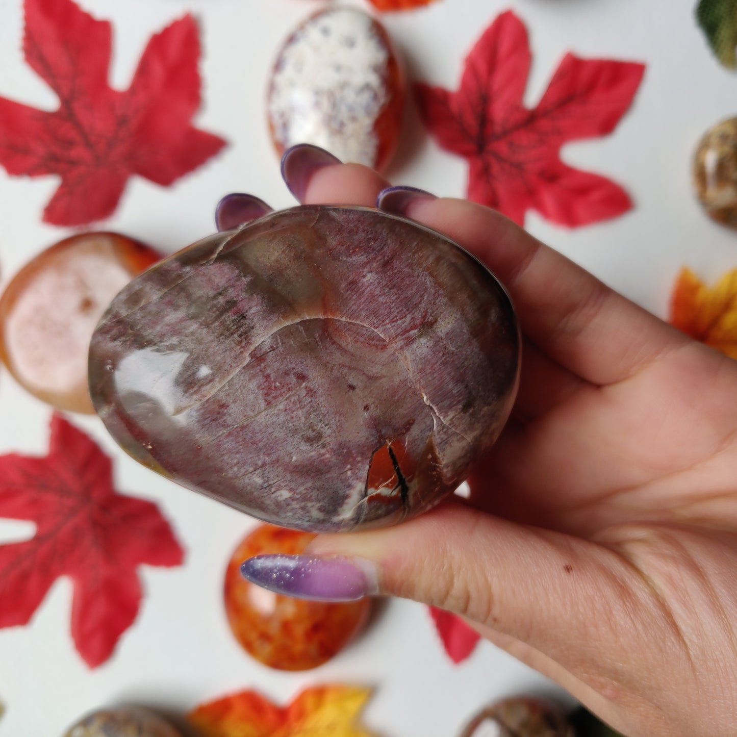 Petrified Wood Palm Stone (#A5)