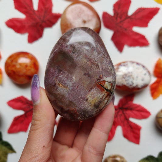 Petrified Wood Palm Stone (#A5)
