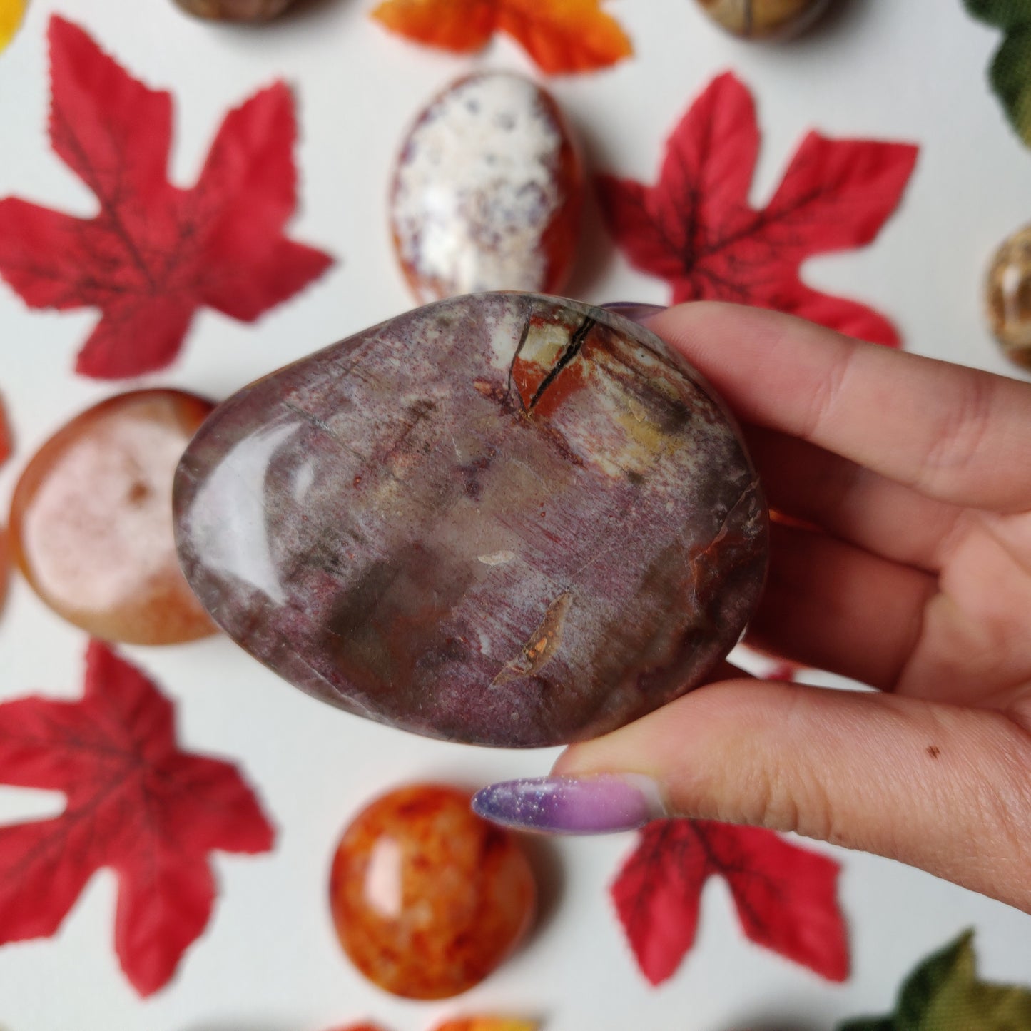 Petrified Wood Palm Stone (#A5)