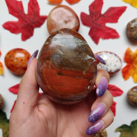 Petrified Wood Palm Stone (#A4)