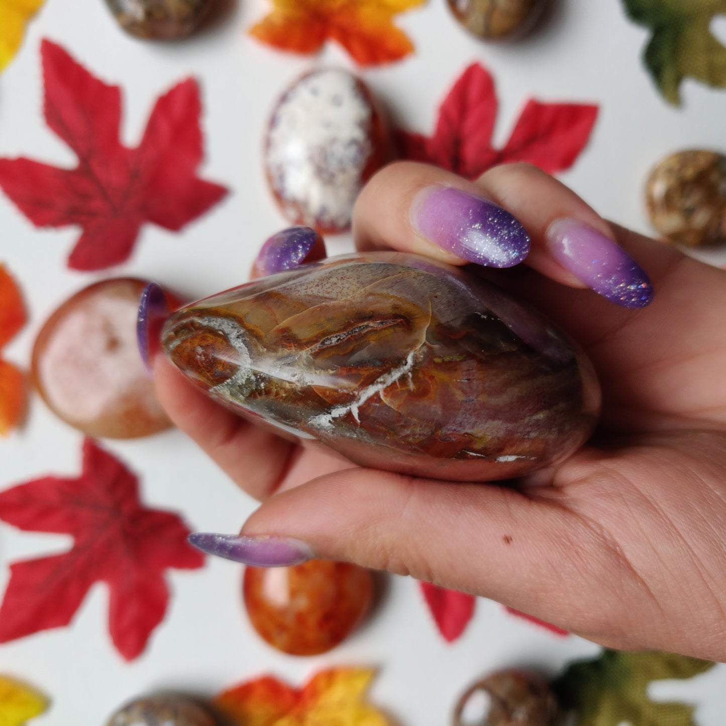 Petrified Wood Palm Stone (#A4)