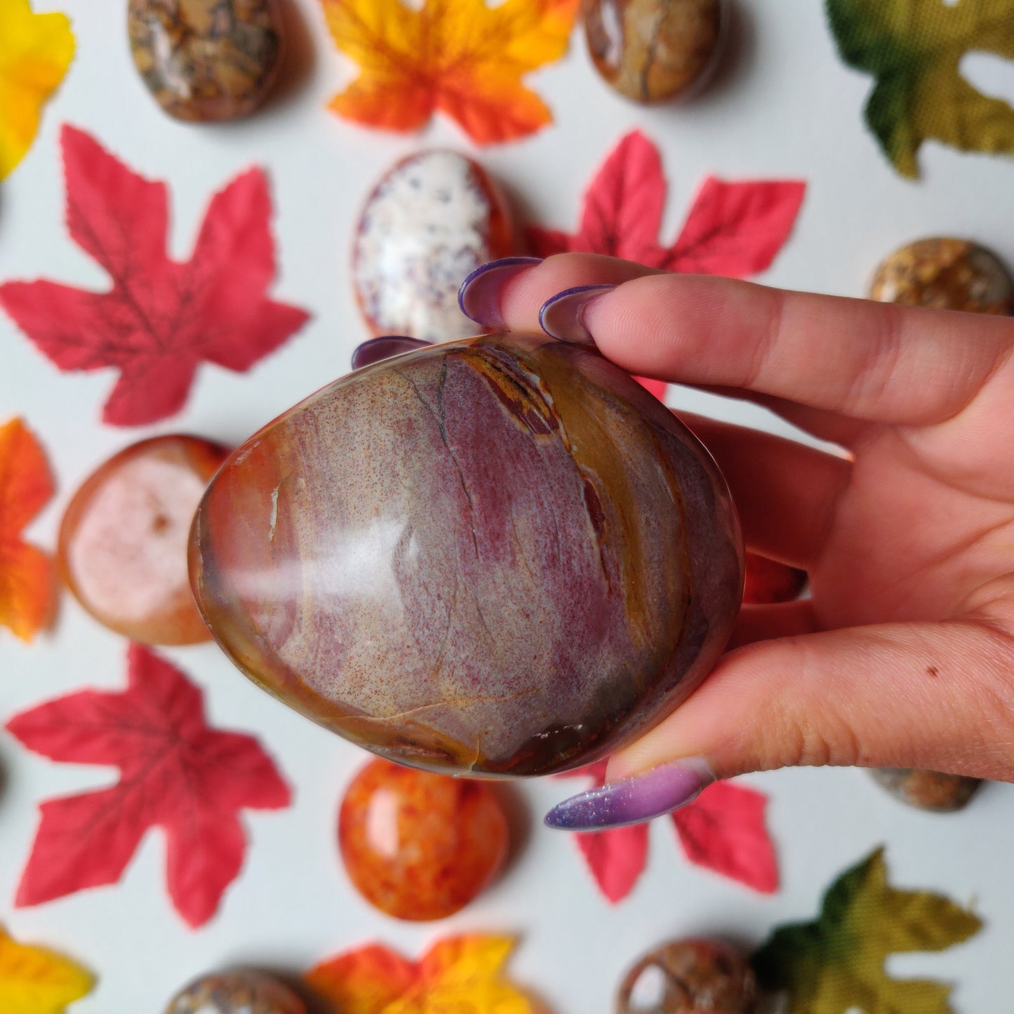 Petrified Wood Palm Stone (#A4)