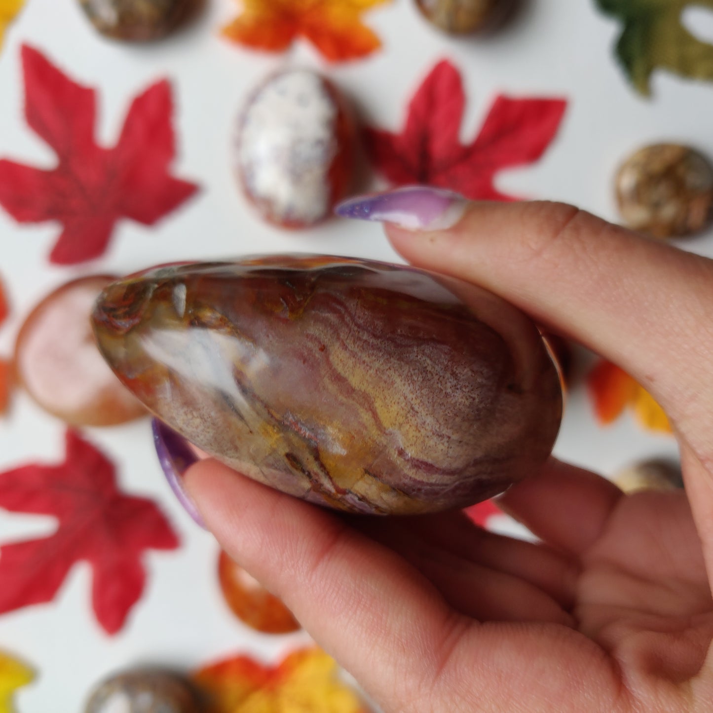 Petrified Wood Palm Stone (#A4)