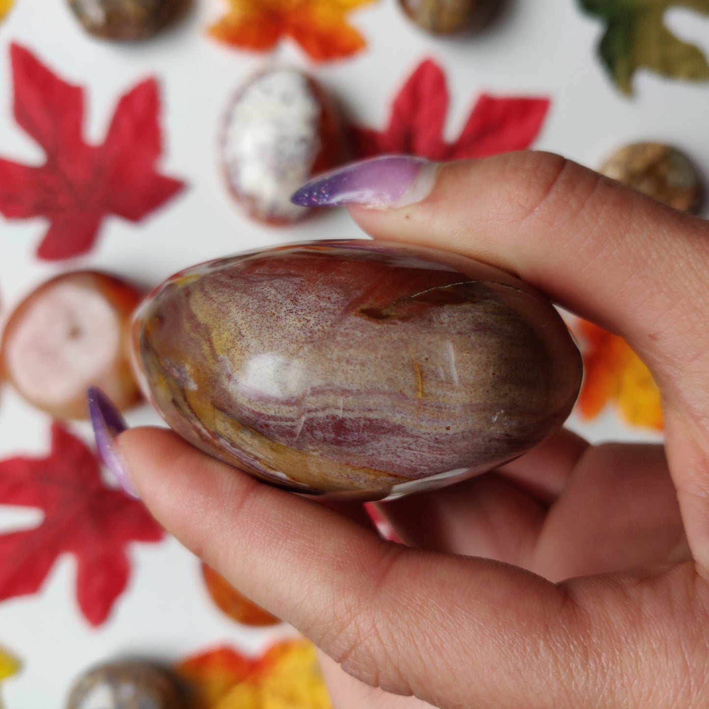 Petrified Wood Palm Stone (#A4)