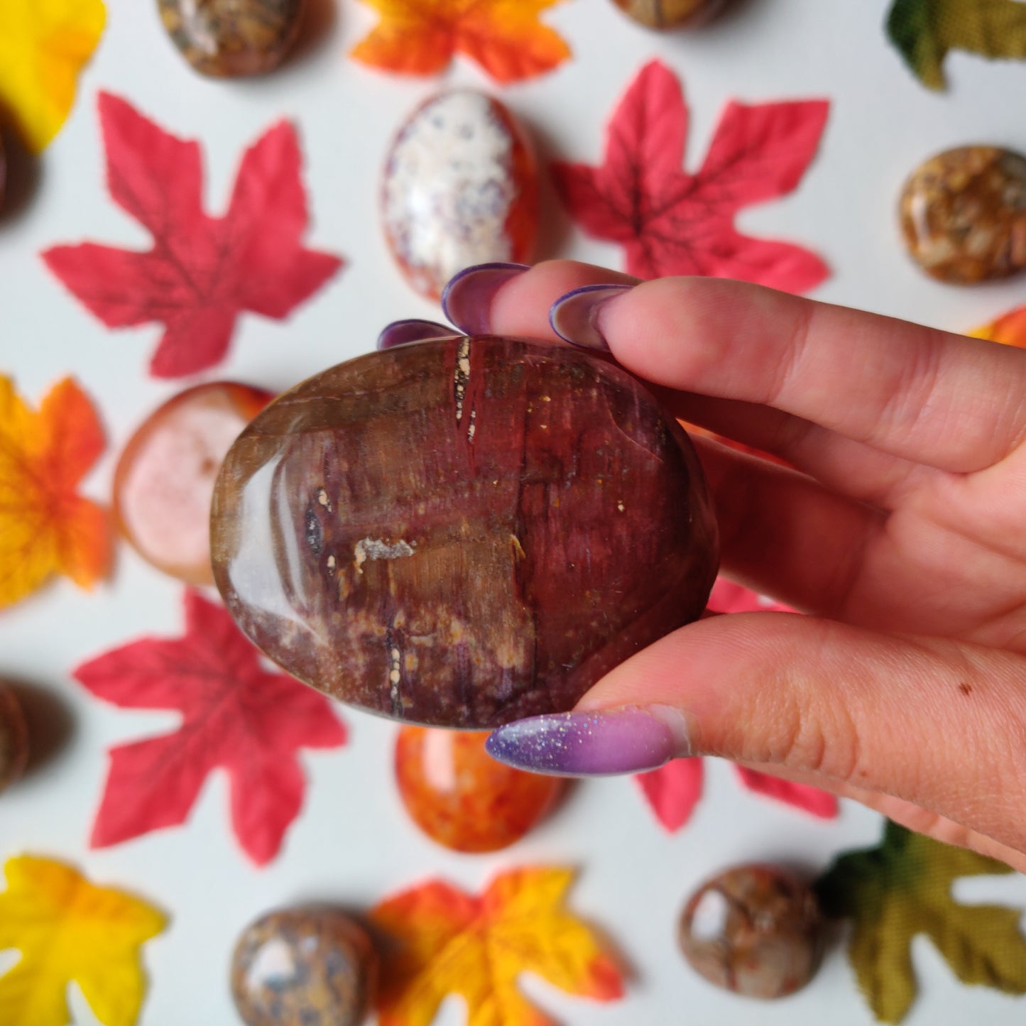 Petrified Wood Palm Stone (#A2)