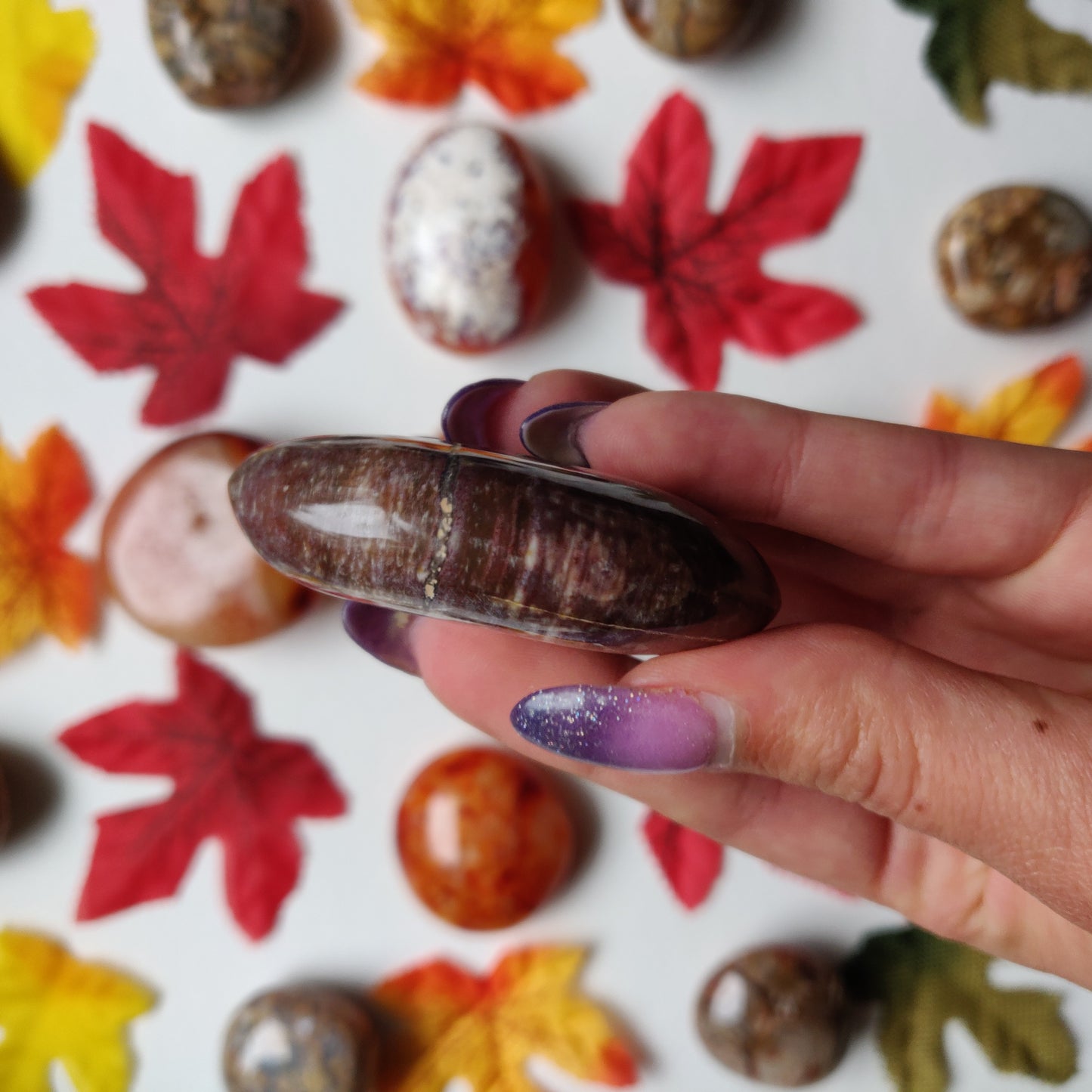 Petrified Wood Palm Stone (#A2)