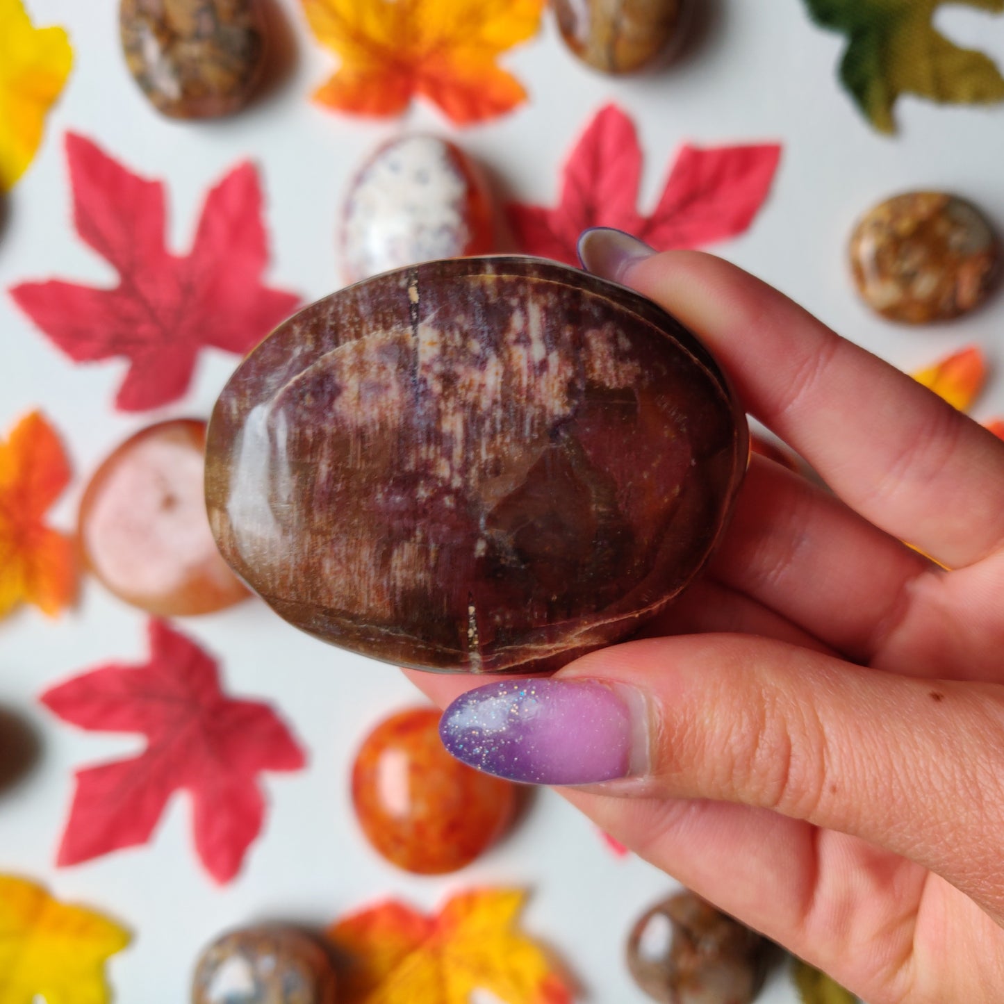 Petrified Wood Palm Stone (#A2)