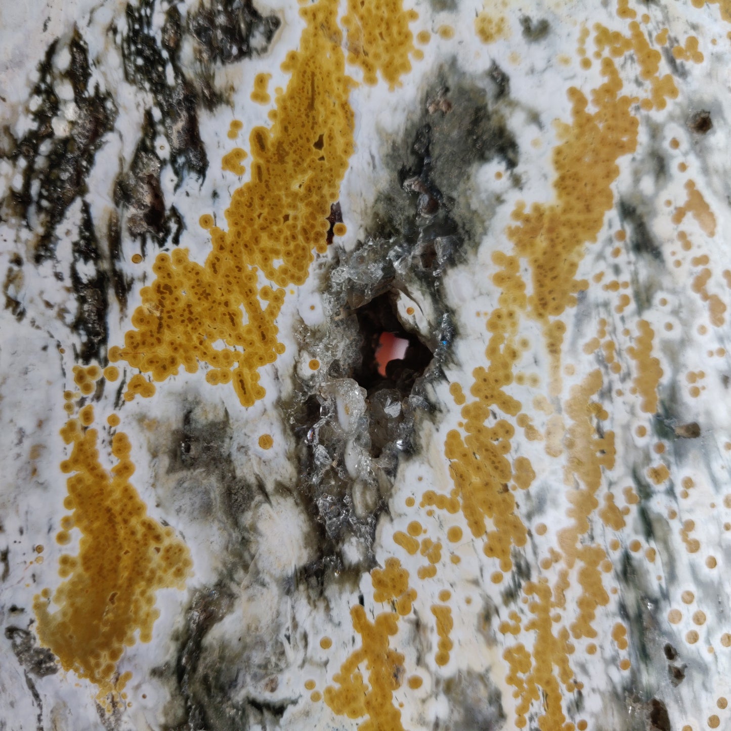 Large Ocean Jasper Druzy Slab (#A6)
