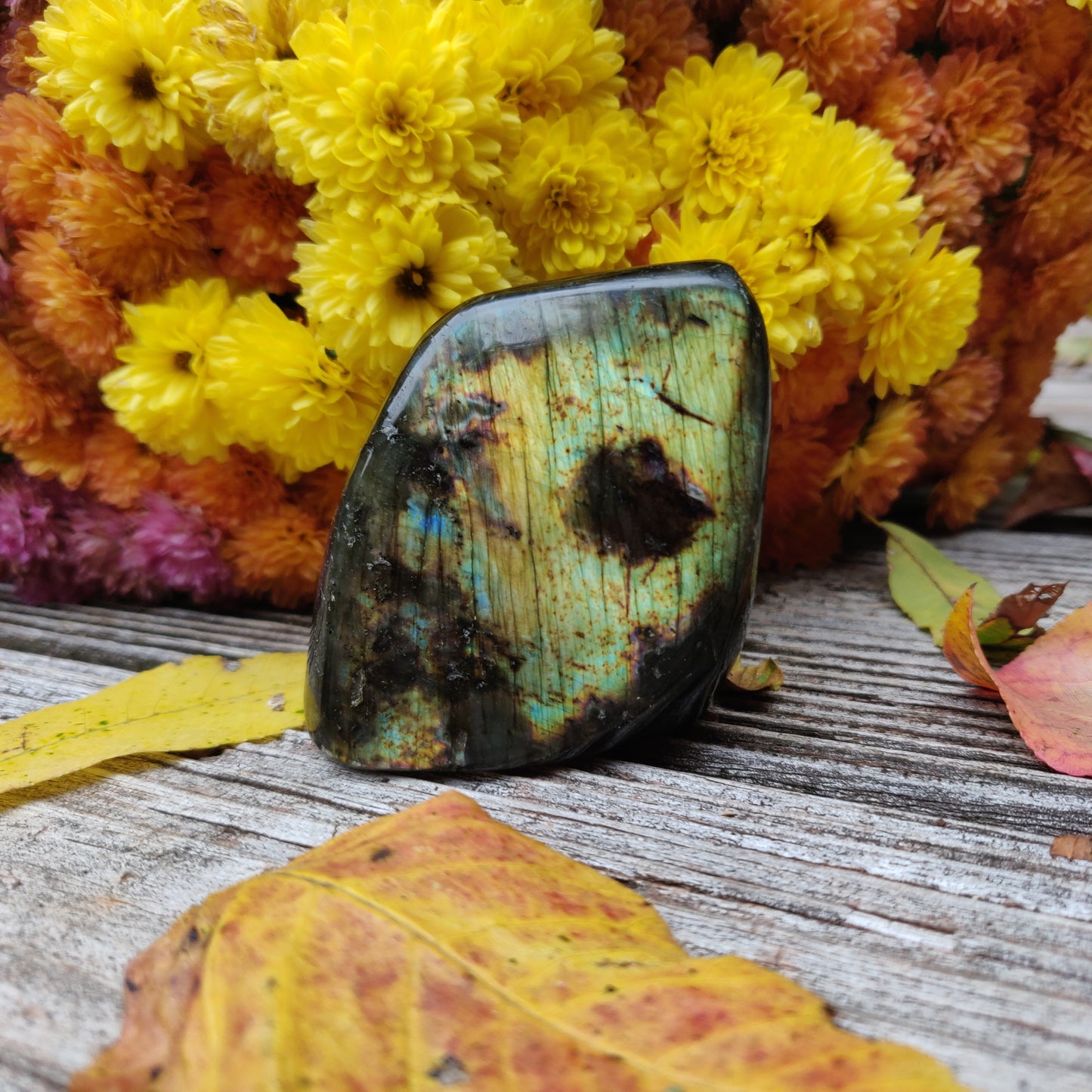 Labradorite Free Form (#A4)