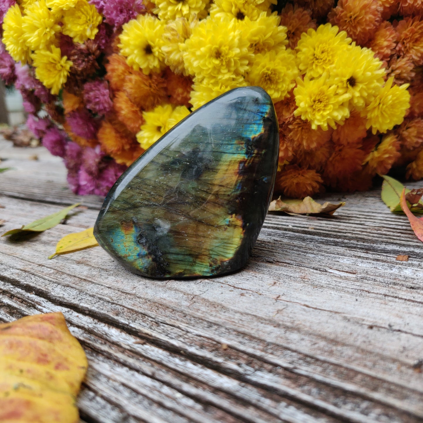 Labradorite Free Form (#A6)