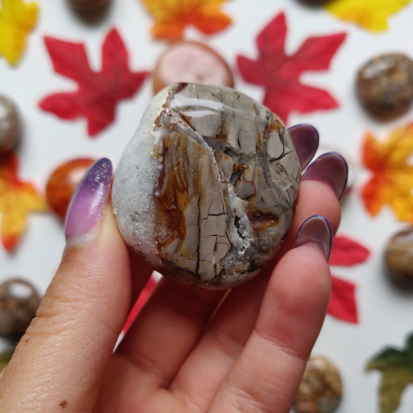 Ibis Jasper Palm Stone (#A7)