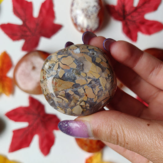 Ibis Jasper Palm Stone (#A6)