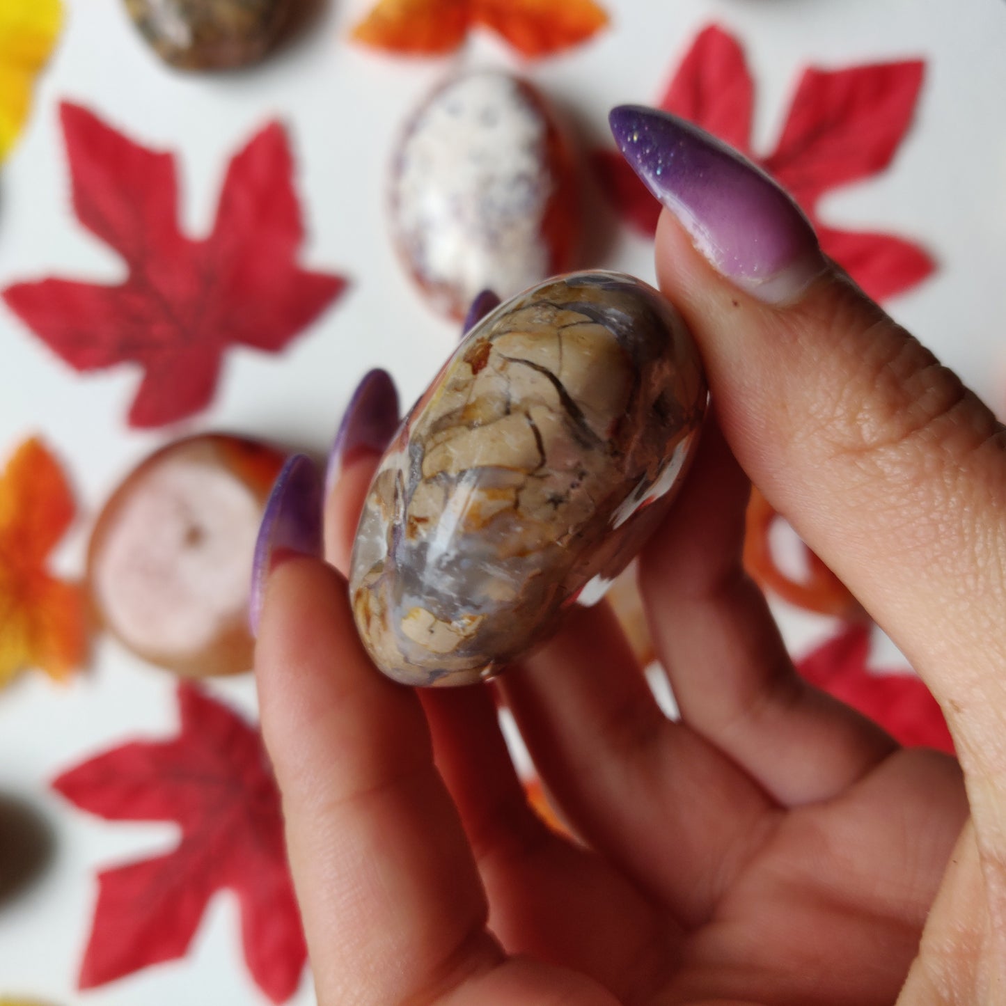 Ibis Jasper Palm Stone (#A6)