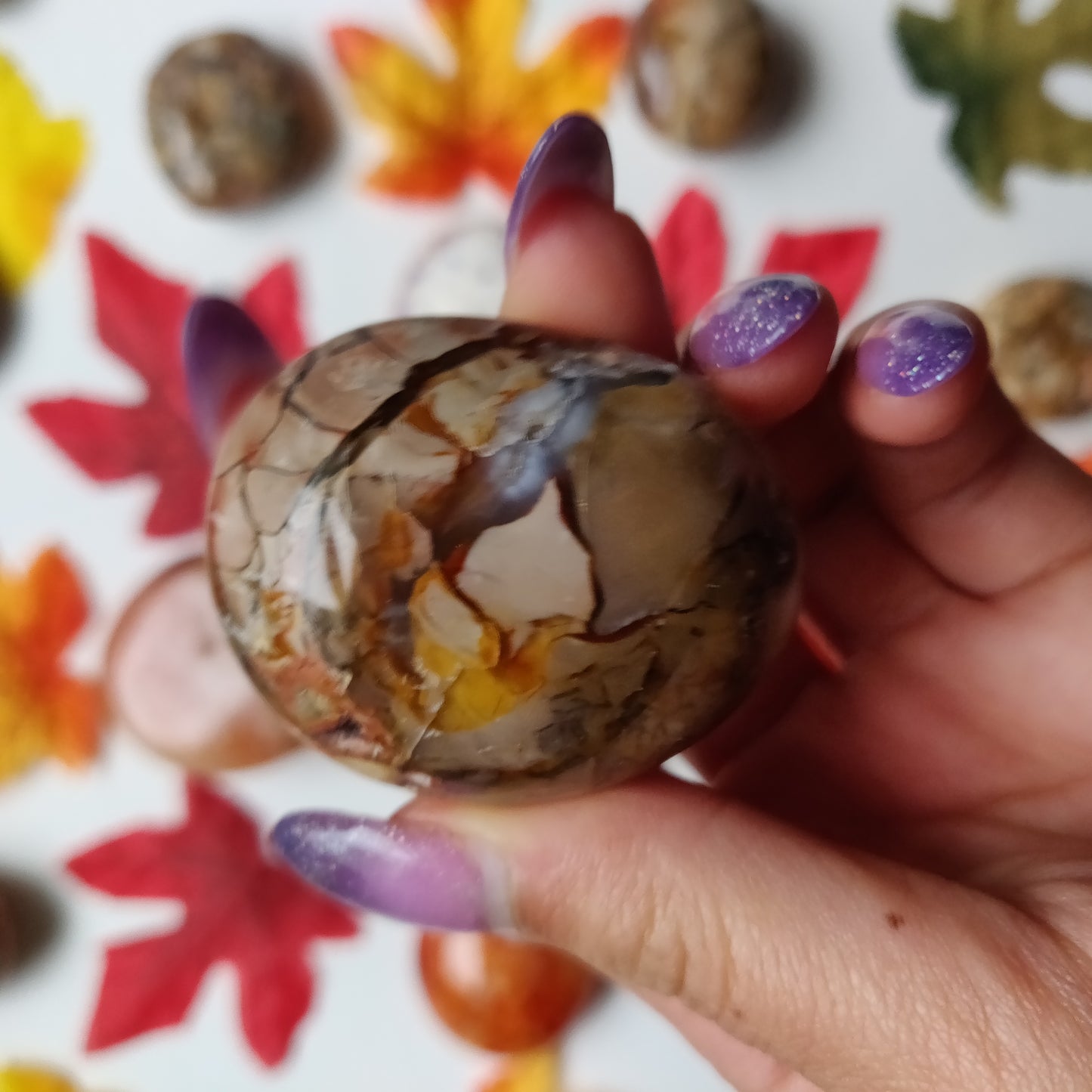 Ibis Jasper Palm Stone (#A5)