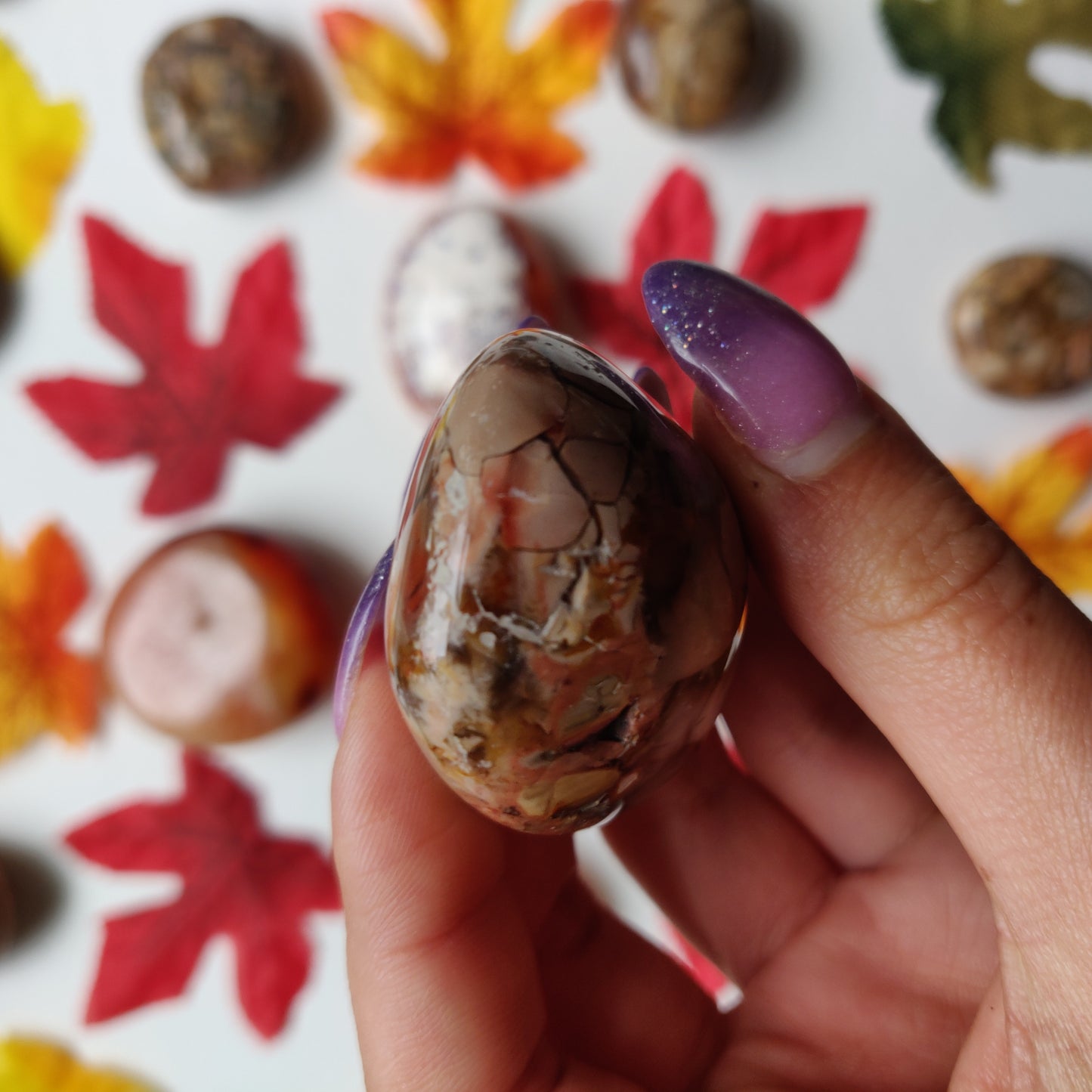 Ibis Jasper Palm Stone (#A5)