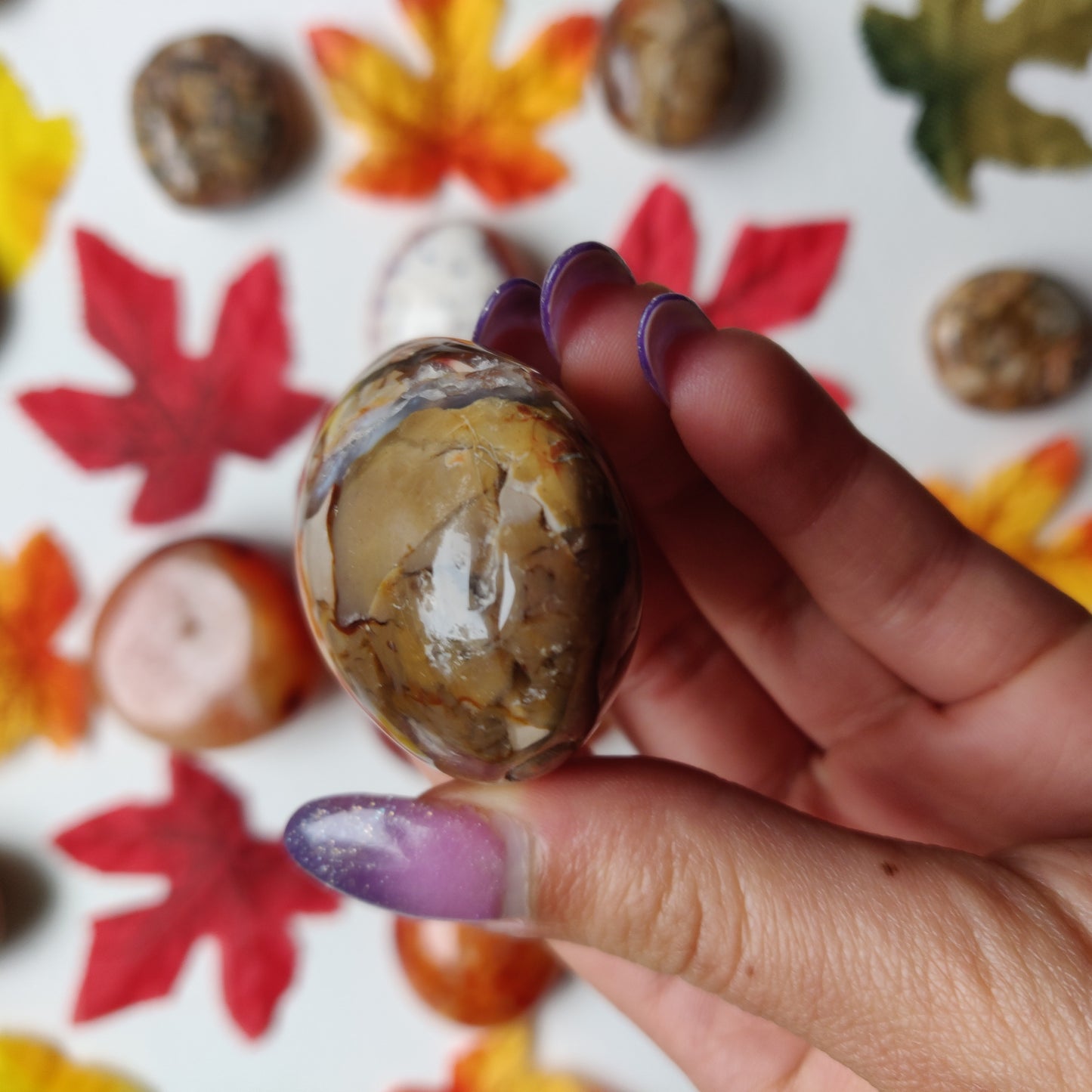Ibis Jasper Palm Stone (#A5)