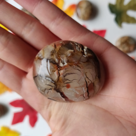 Ibis Jasper Palm Stone (#A5)