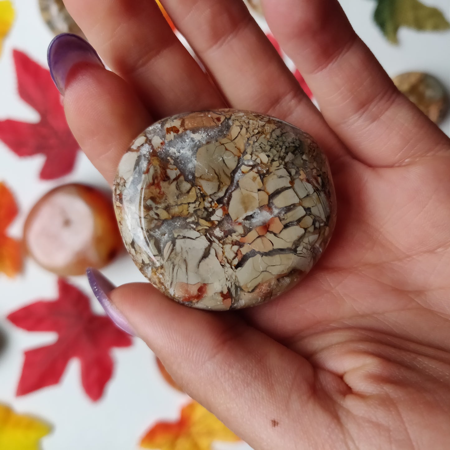 Ibis Jasper Palm Stone (#A4)