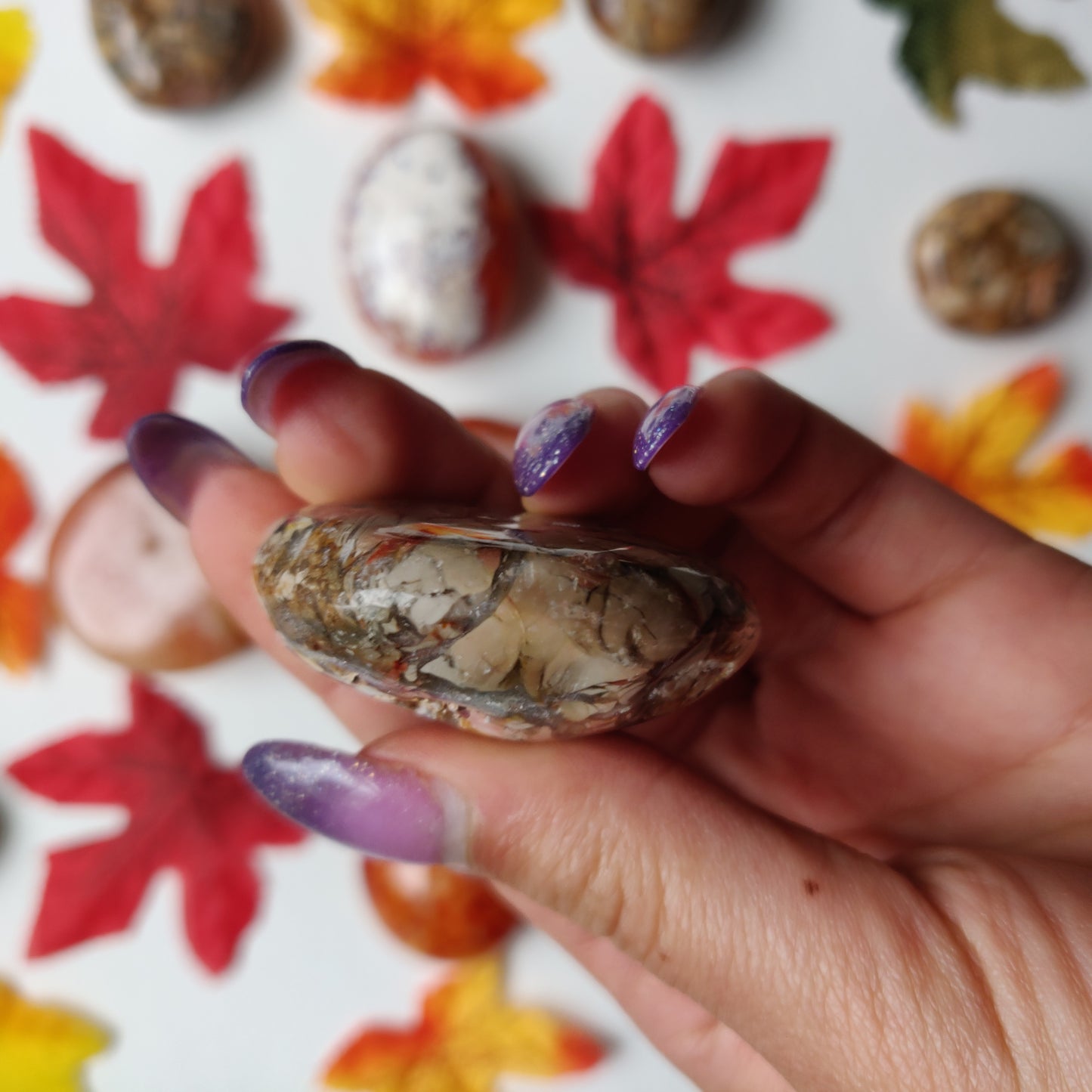 Ibis Jasper Palm Stone (#A4)