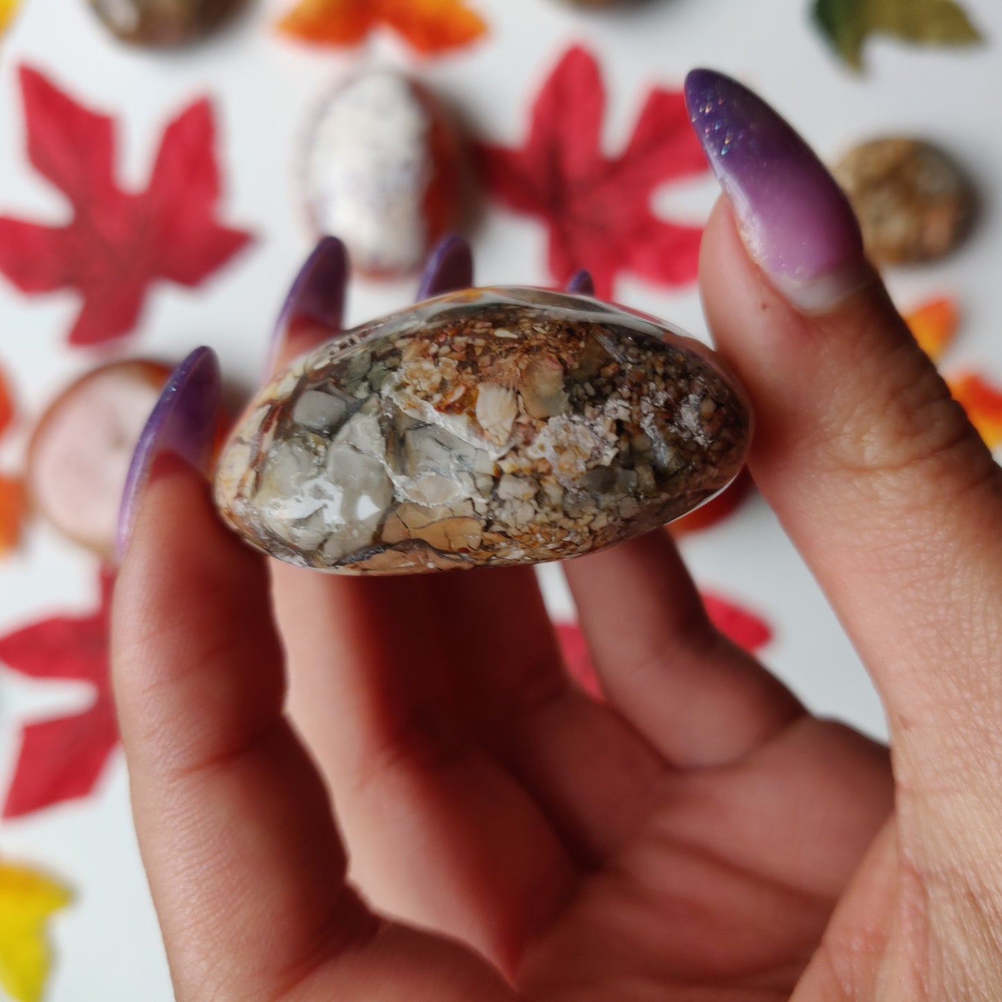 Ibis Jasper Palm Stone (#A4)