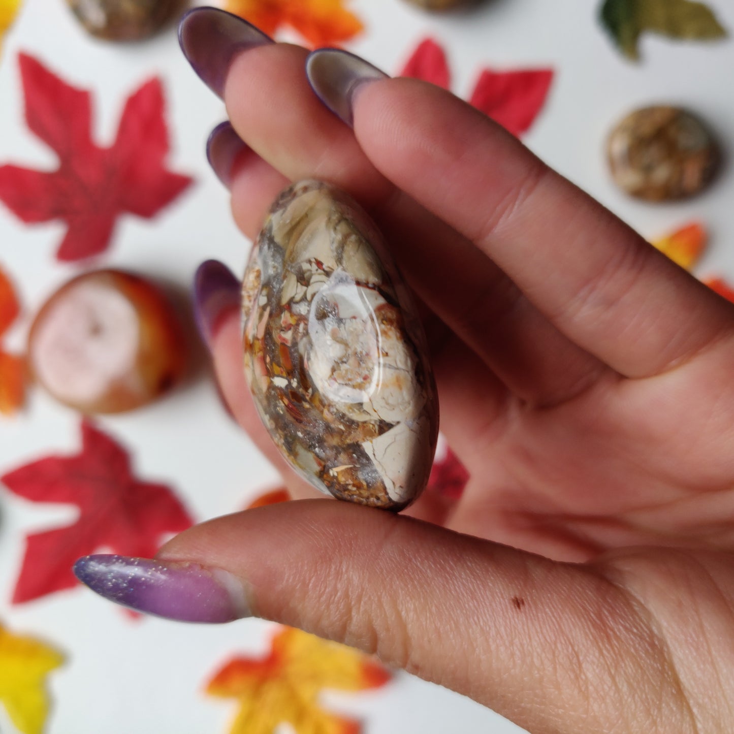 Ibis Jasper Palm Stone (#A4)