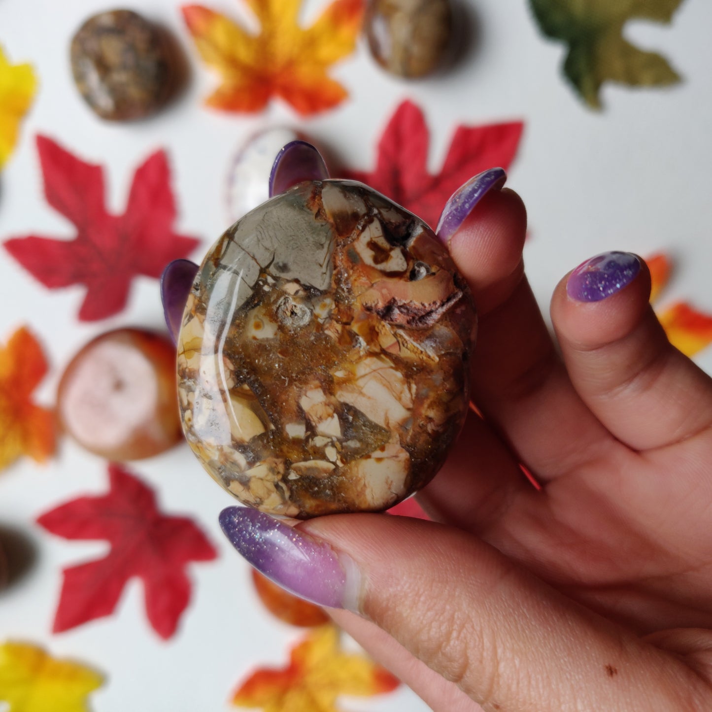 Ibis Jasper Palm Stone (#A3)