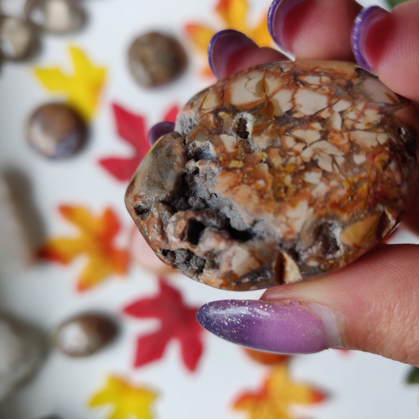 Ibis Jasper Palm Stone (#A3)