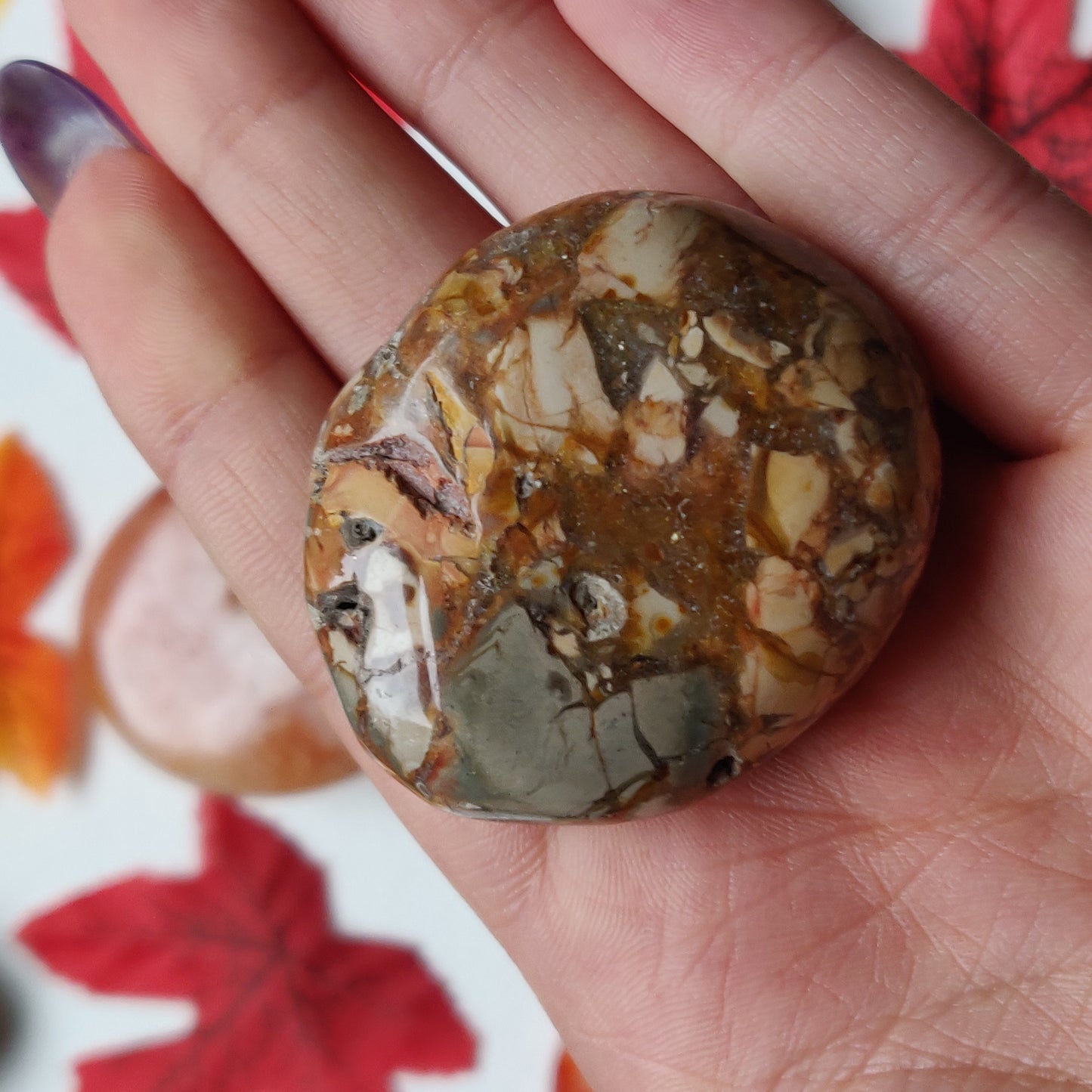 Ibis Jasper Palm Stone (#A3)