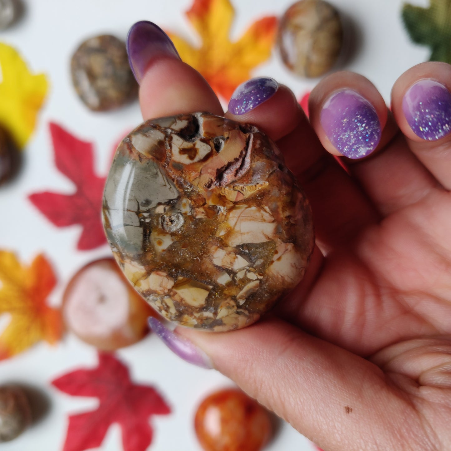 Ibis Jasper Palm Stone (#A3)